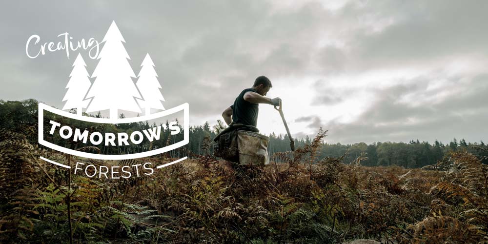 Creating_Tomorrows_Forest_Banner