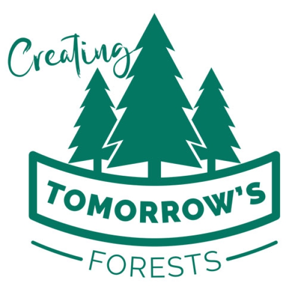 Creating Tomorrow's Forests